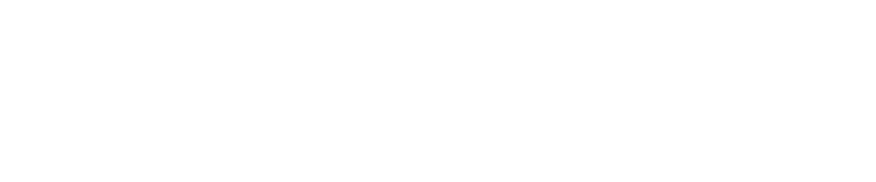 Dashwise Solutions Logo Website White